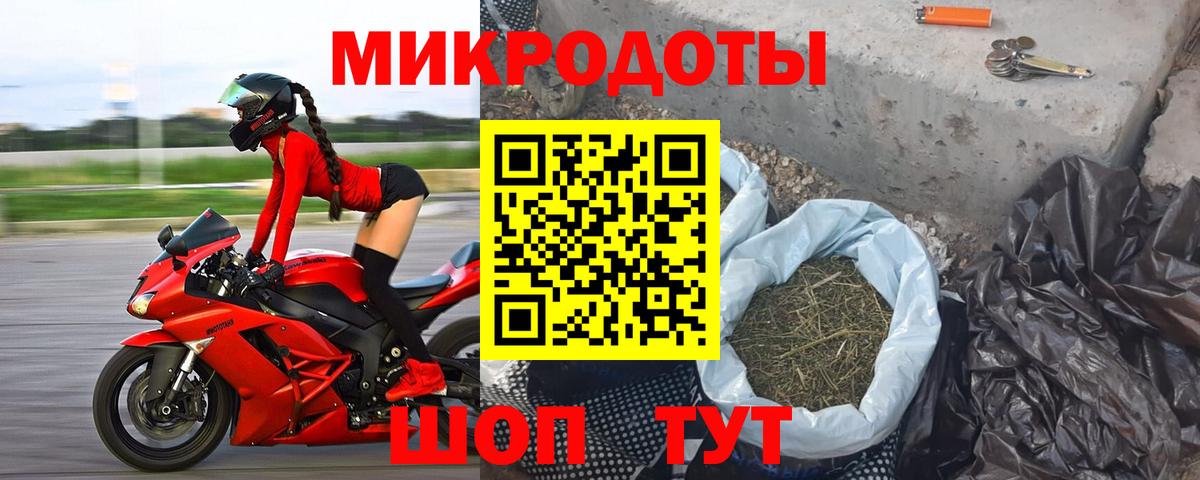 Аша  Галлюциногенные грибы Psilocybine cubensis  Вход с VPN 
